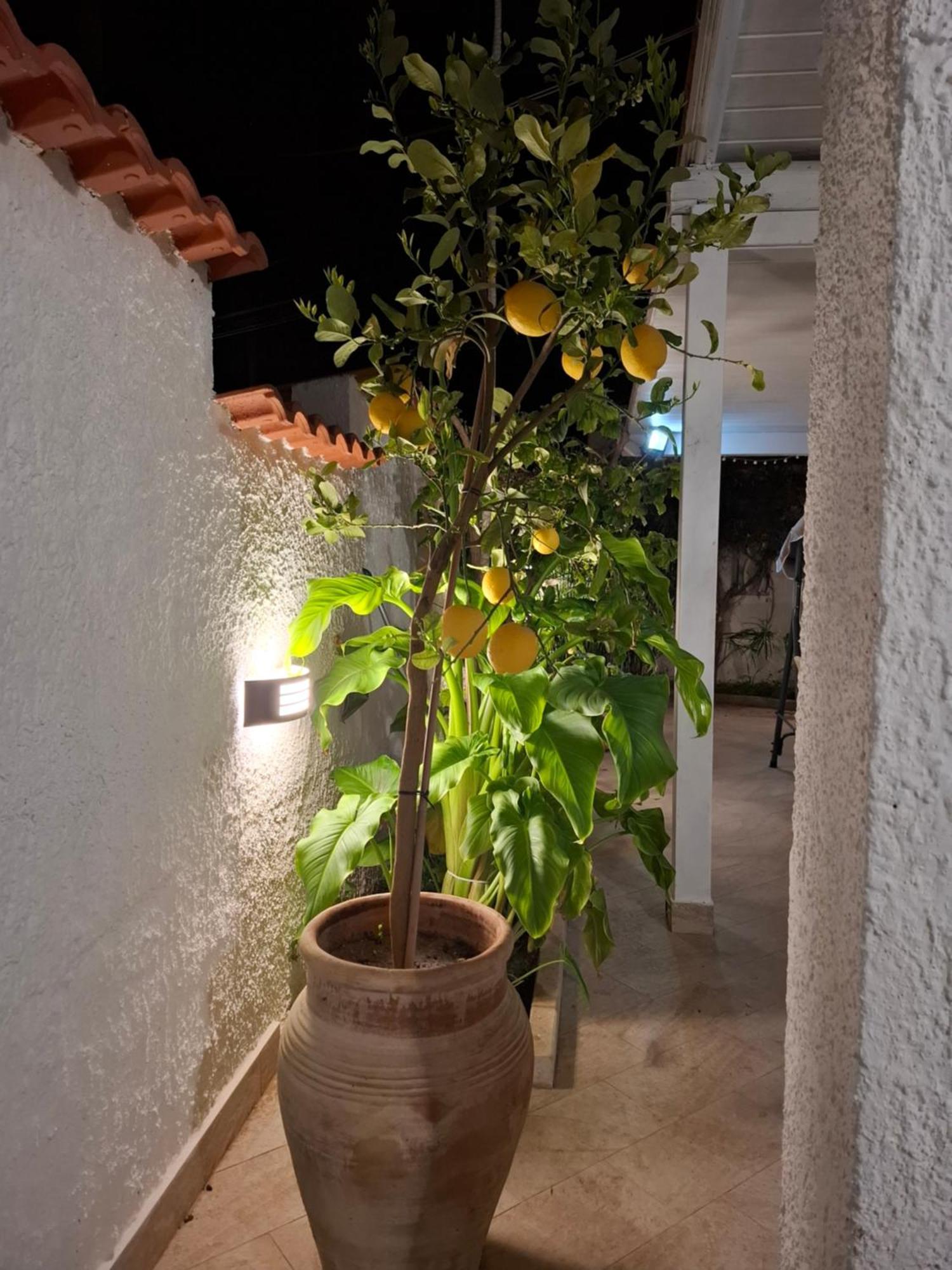 Toluammare Sicily Villa Santa Maria Del Focallo Exterior photo